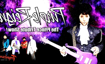 Purple Reign - Prince Tribute